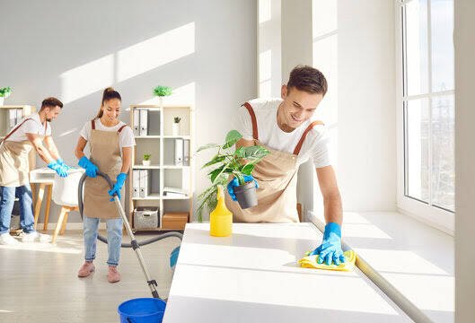 Our professional team